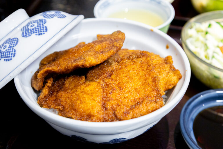 長野発】北陸新幹線で日帰り福井旅！恐竜・せいこ蟹・ソースカツ丼を
